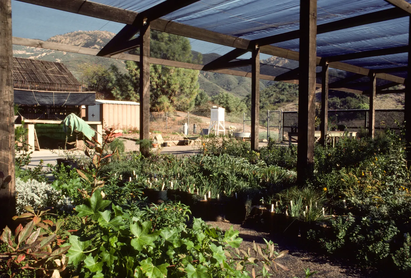 Horticulture Unit covered growing area