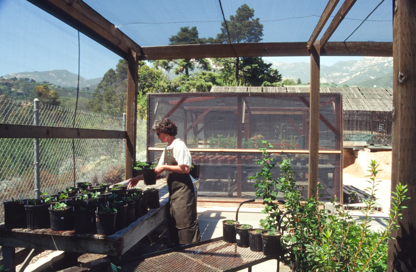 Horticulture Unit covered growing area, plant propagator