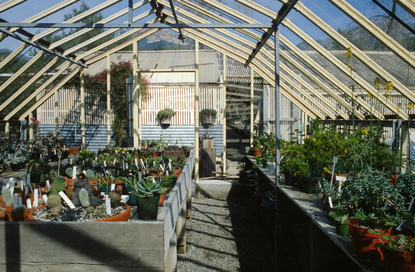Garden Growers Nursery