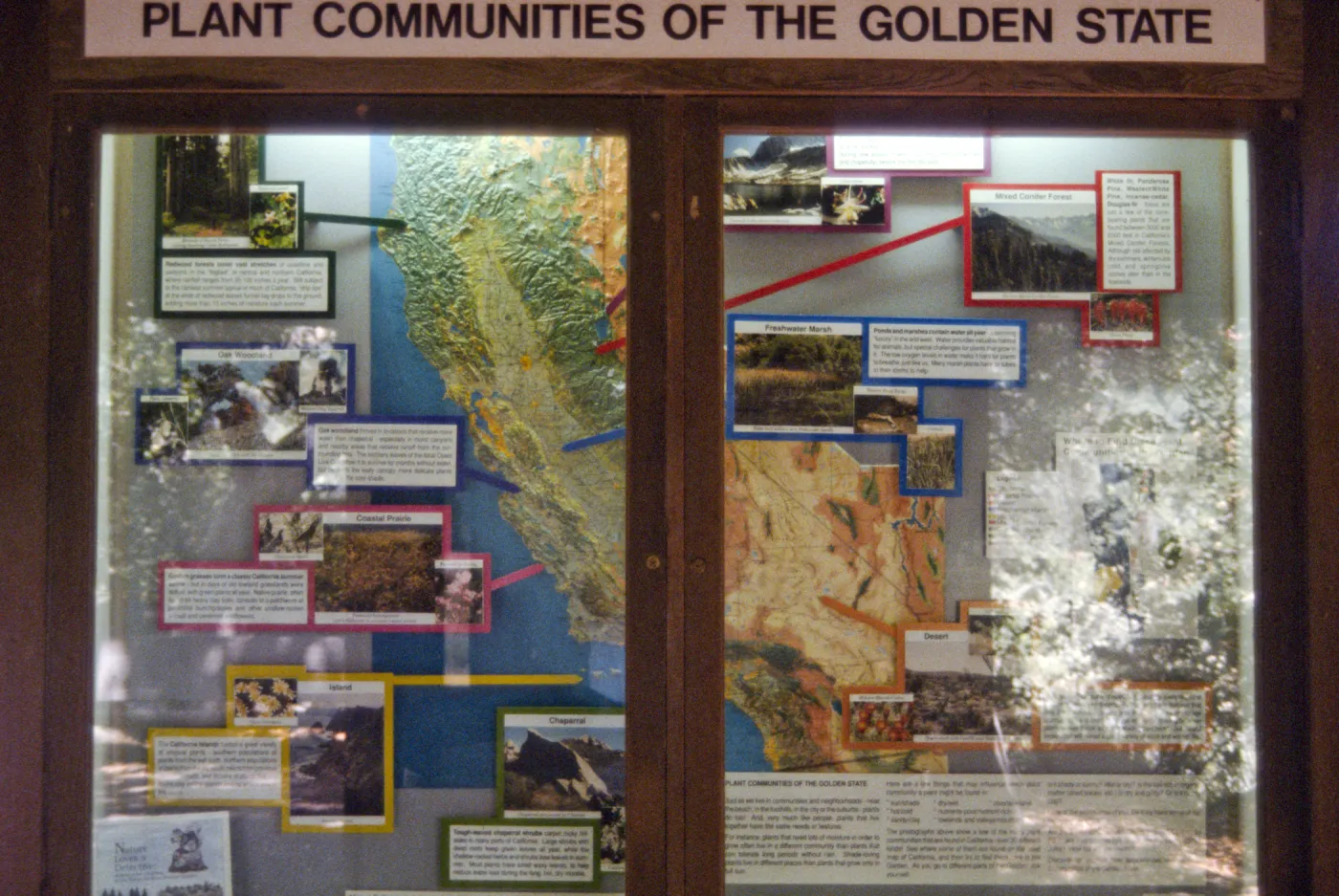 new California Plant Communities exhibit window in the Information Kiosk