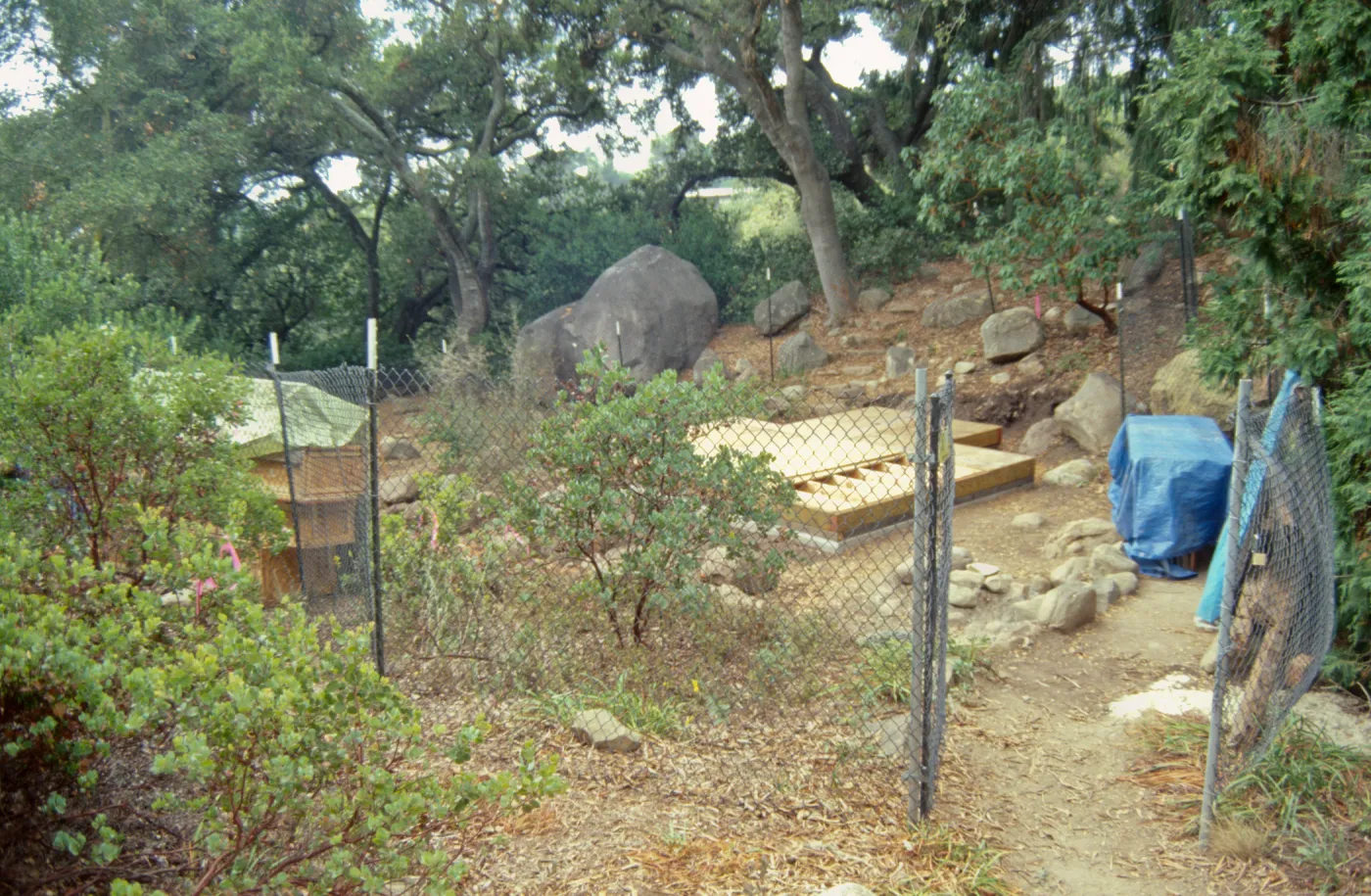 Tea House Construction