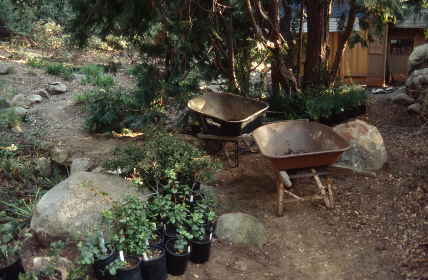 Tea House Garden installation