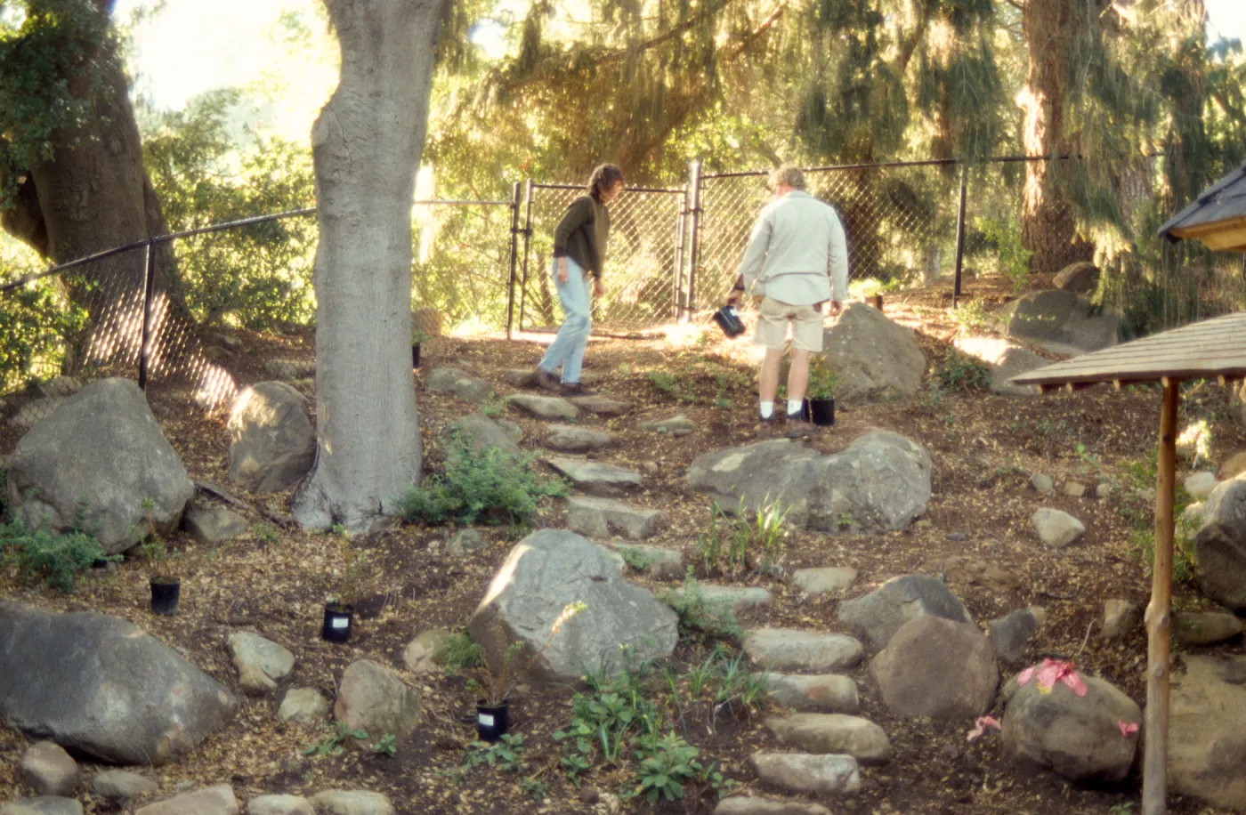 Tea House Garden installation
