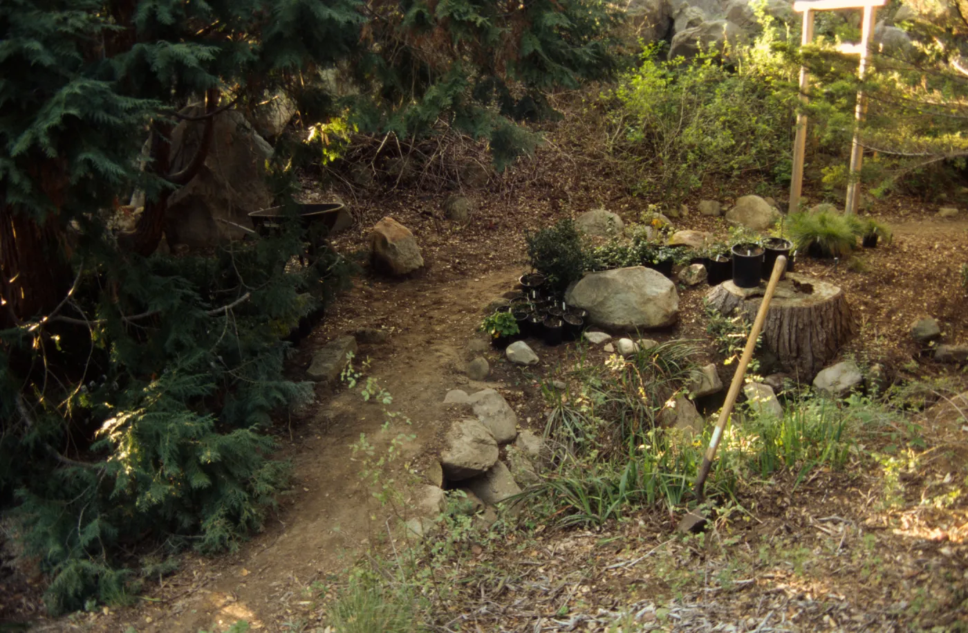Tea House Garden installation