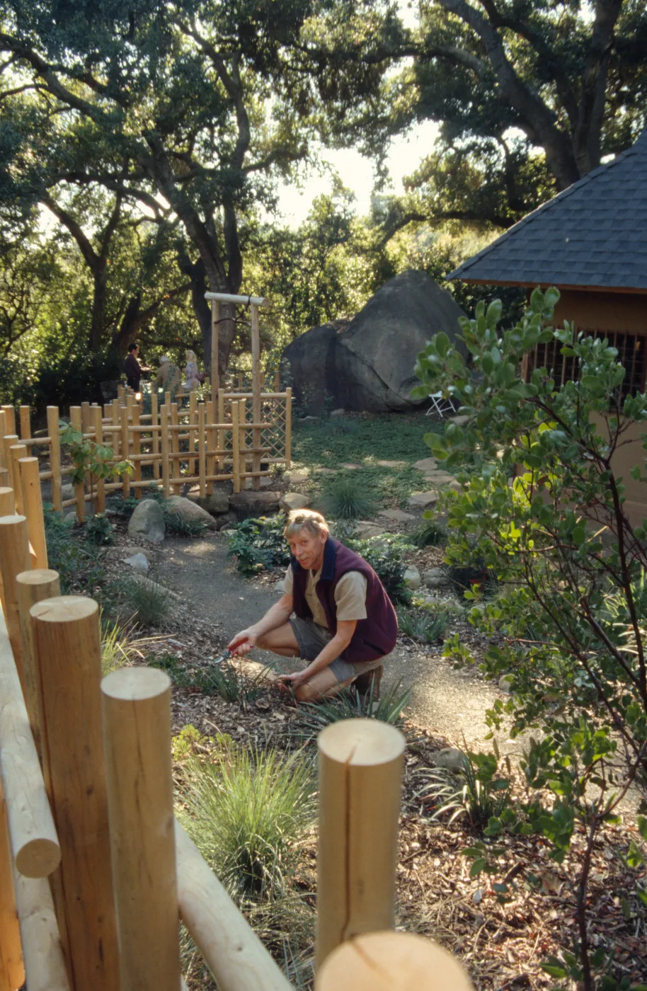 Jay Kendall maintaining tea house garden