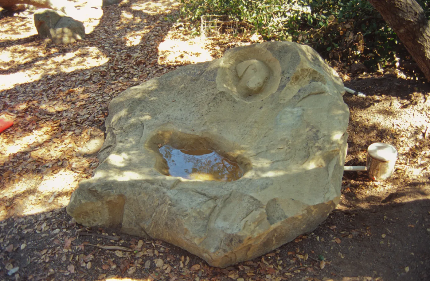dog fountain, dog water basin, Meadow Oaks
