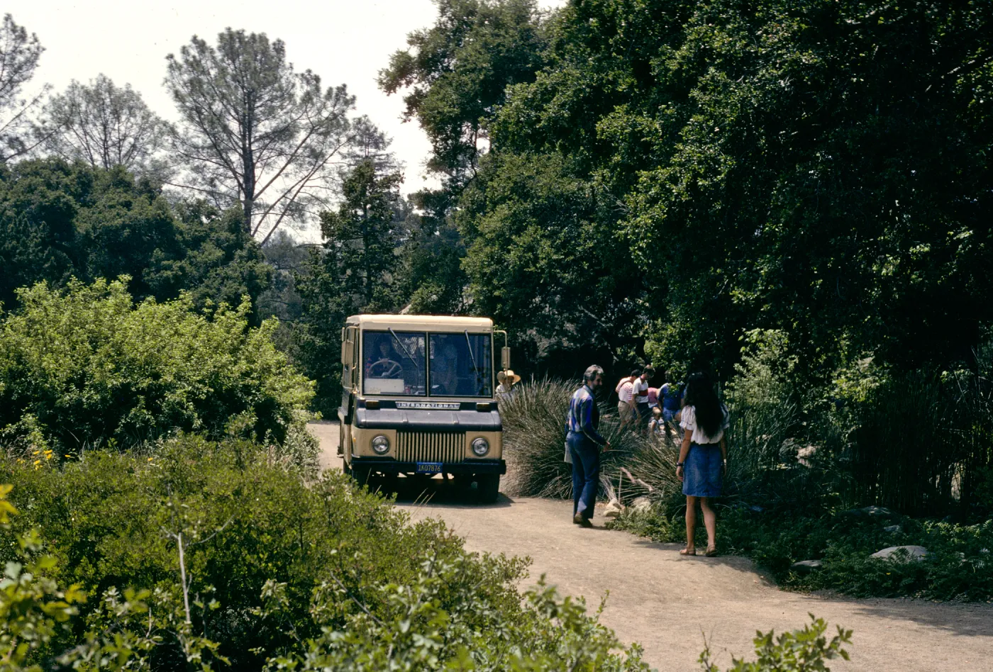 path between Meadow and Pond