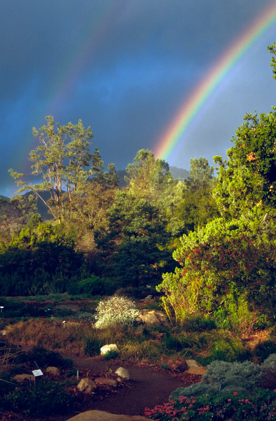 double rainbow over SBBG