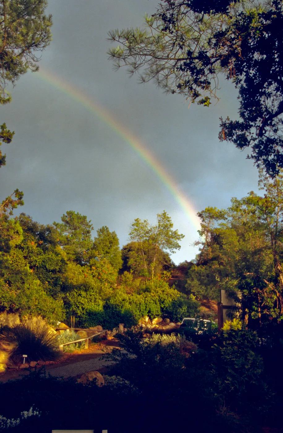 rainbow over SBBG