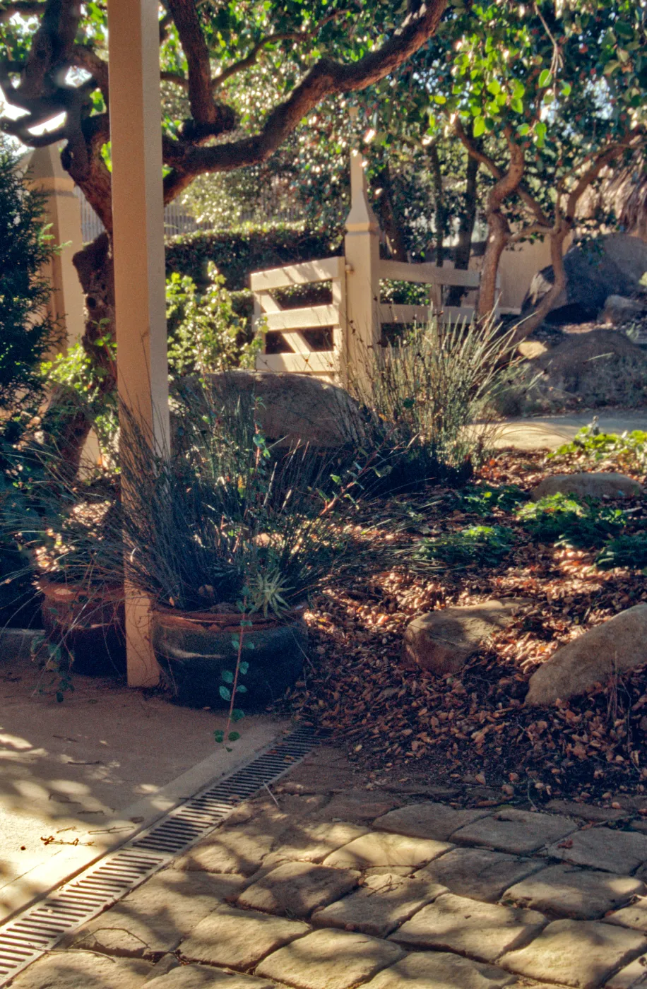 Pavered path and drain at Courtyard entrance