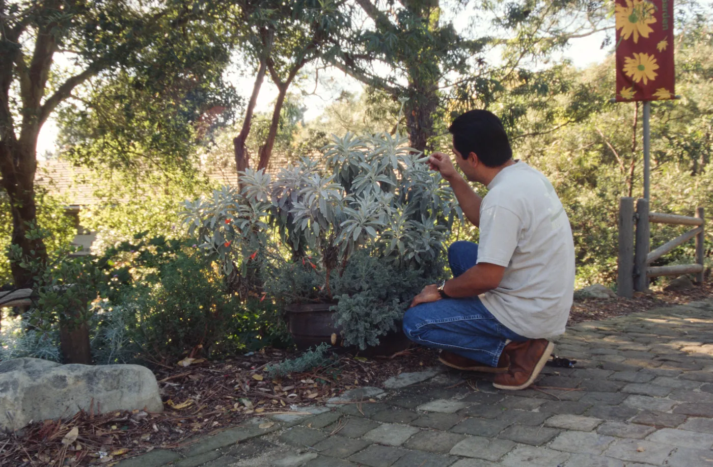Garden Entrance display
