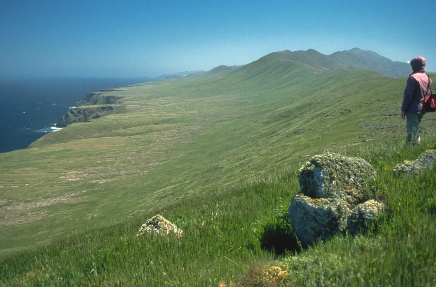 Santa Cruz Island