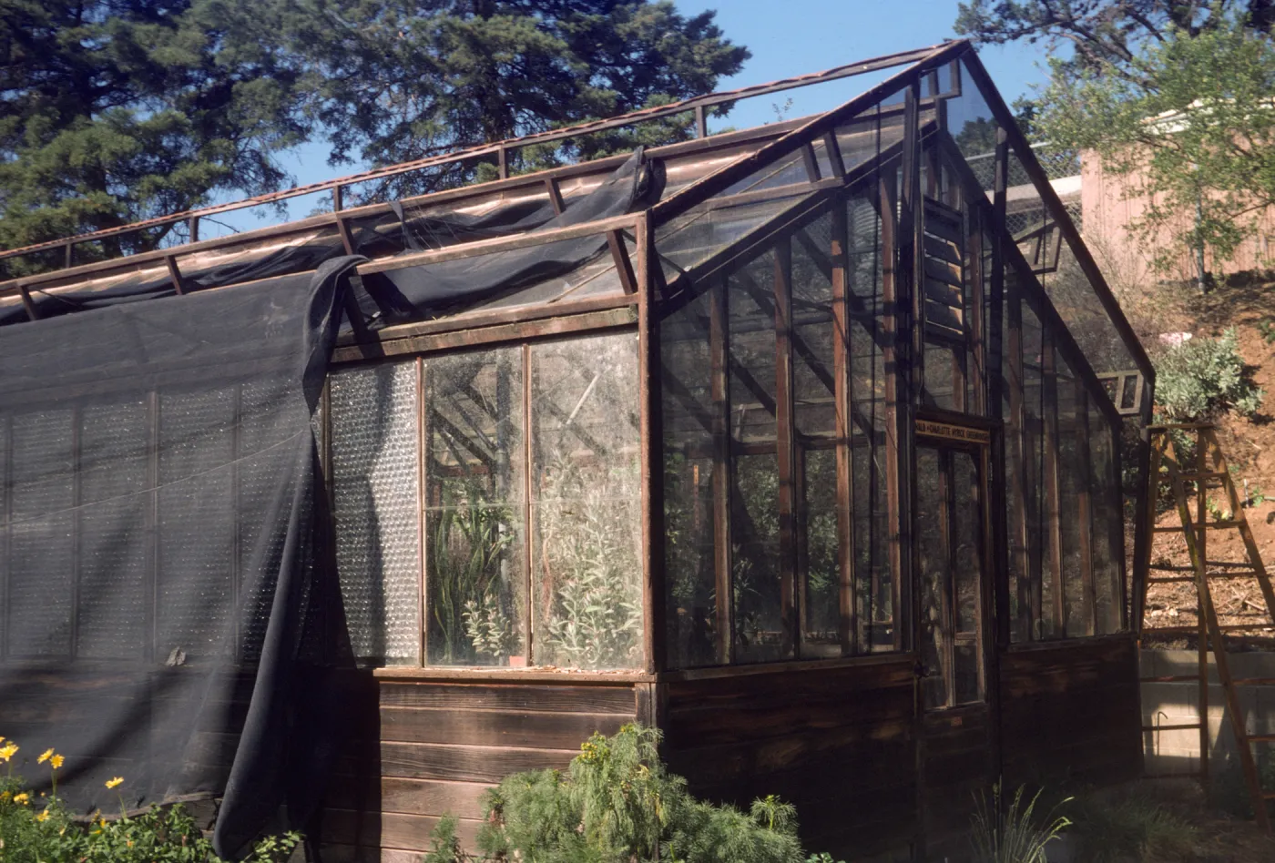 Lath house repair