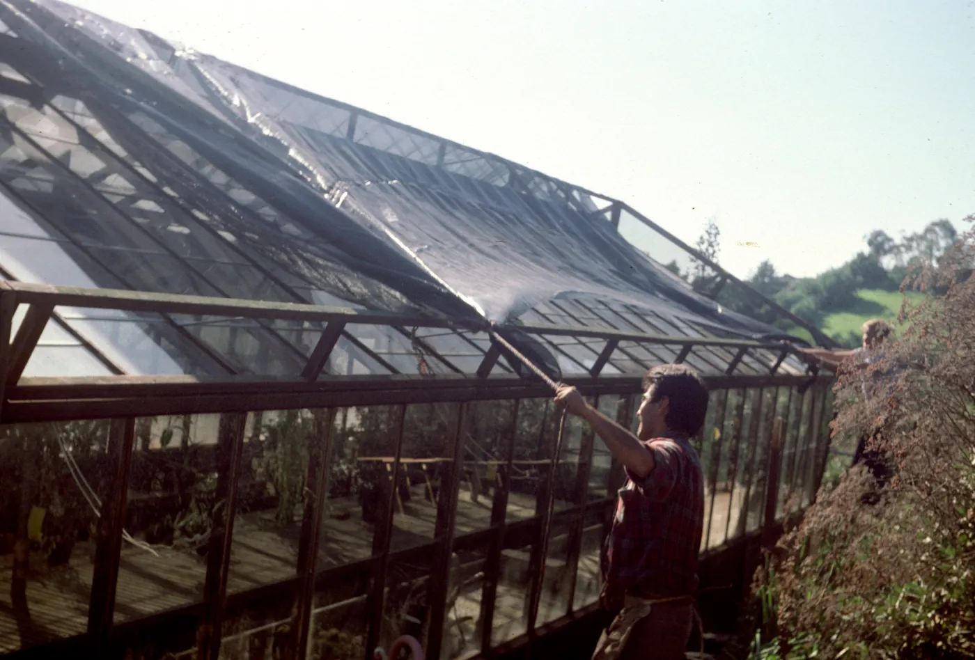 Lath house repairs