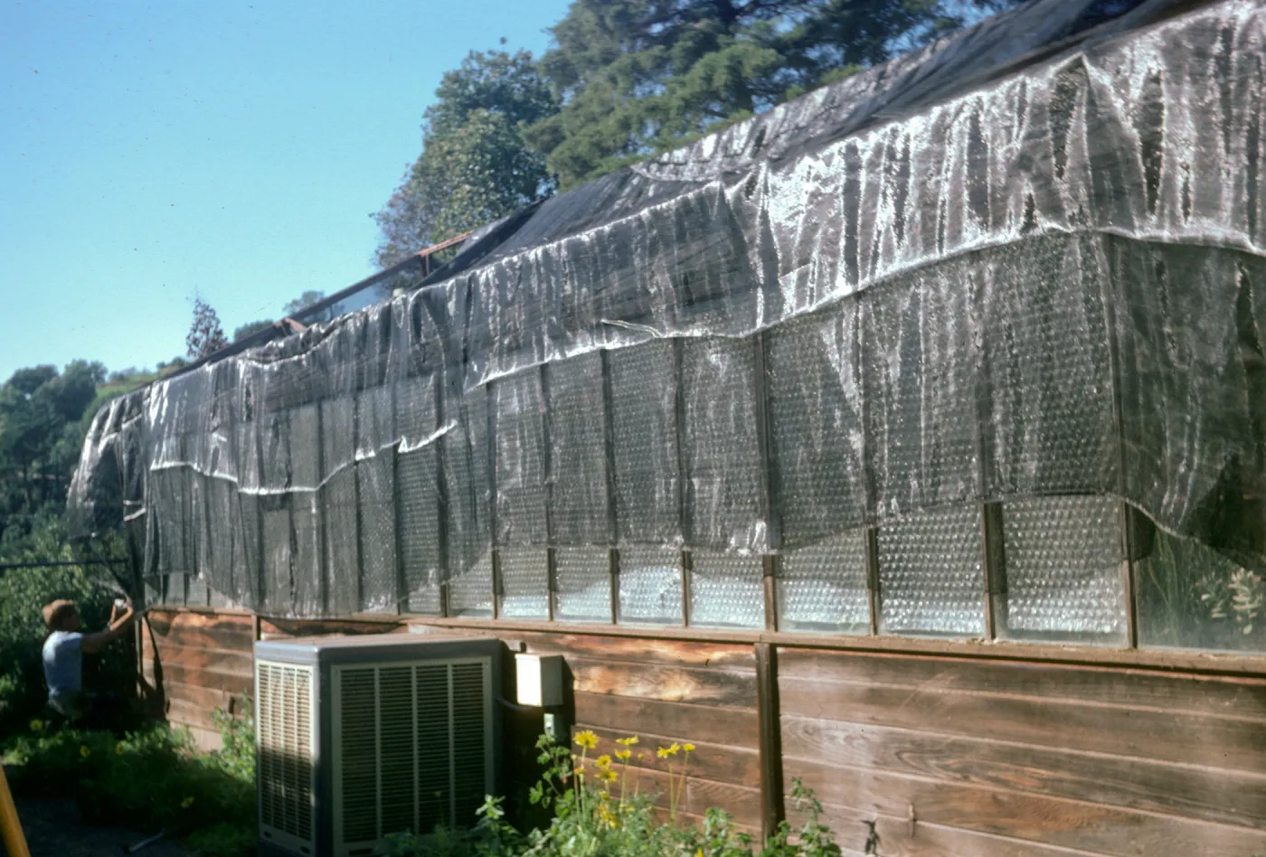 Lath house repairs