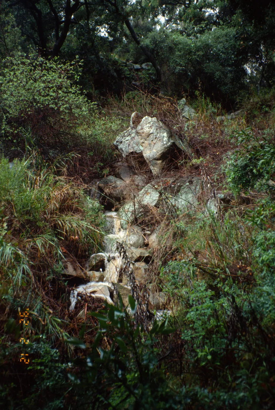 Pritchett Trail drainage