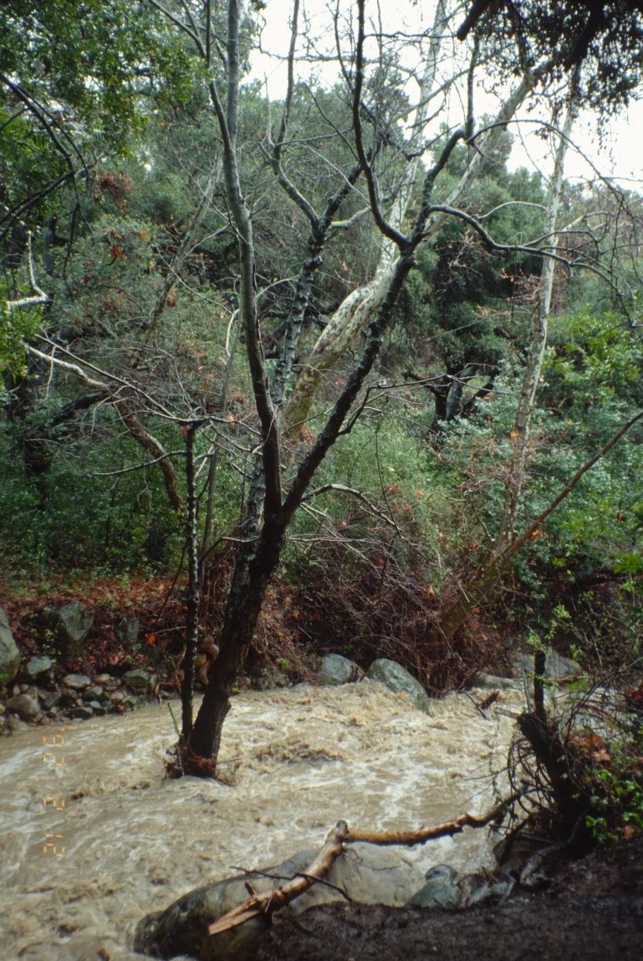 Mission Creek