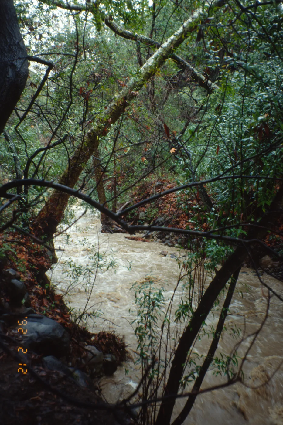 Mission Creek