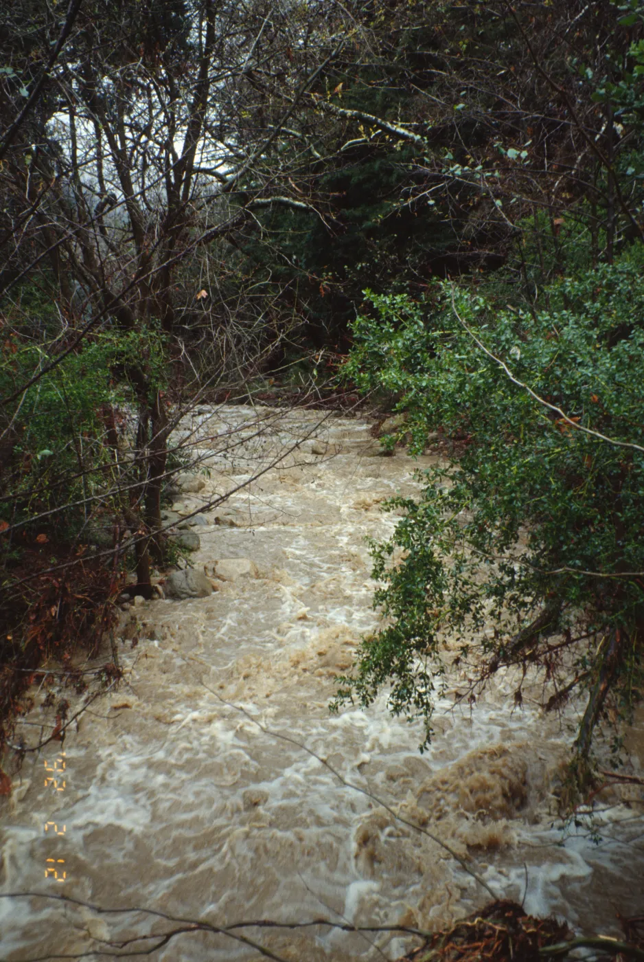 Mission Creek