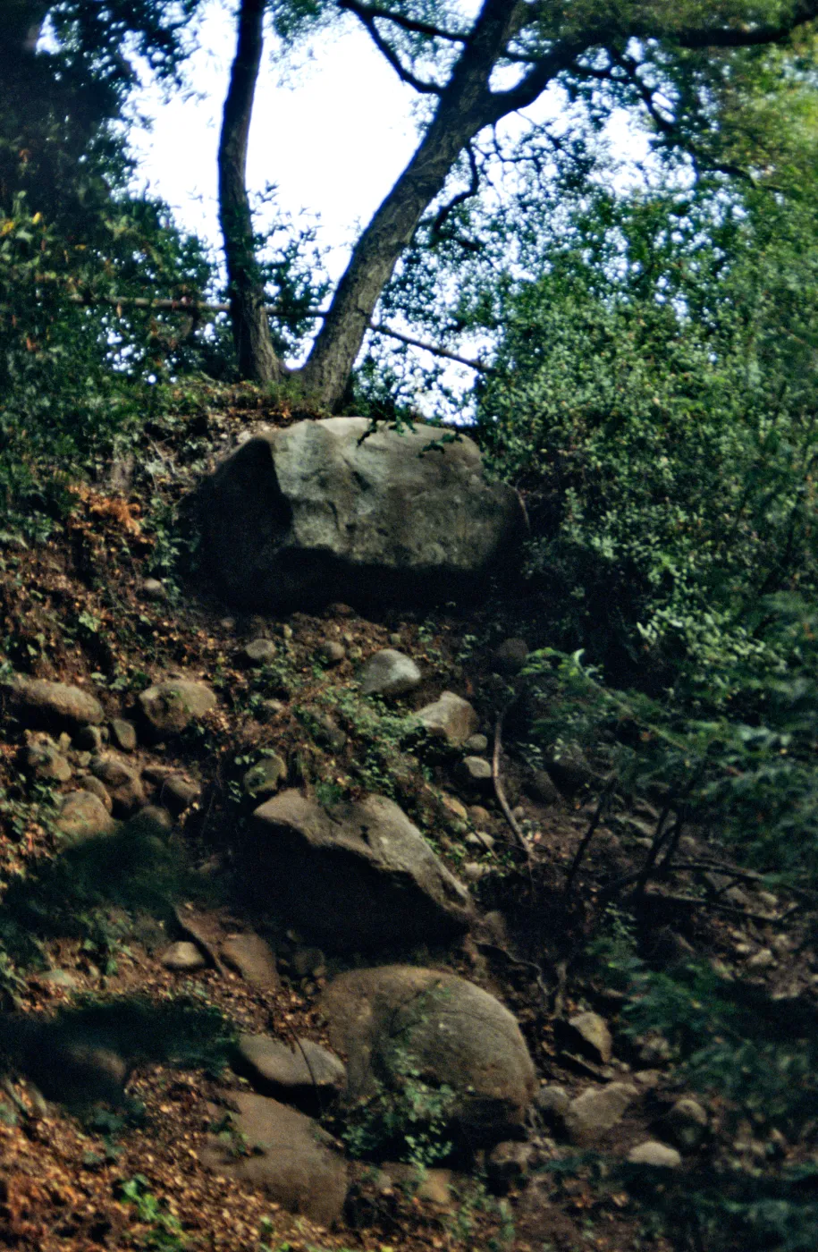 boulders on Mission Canyon slope