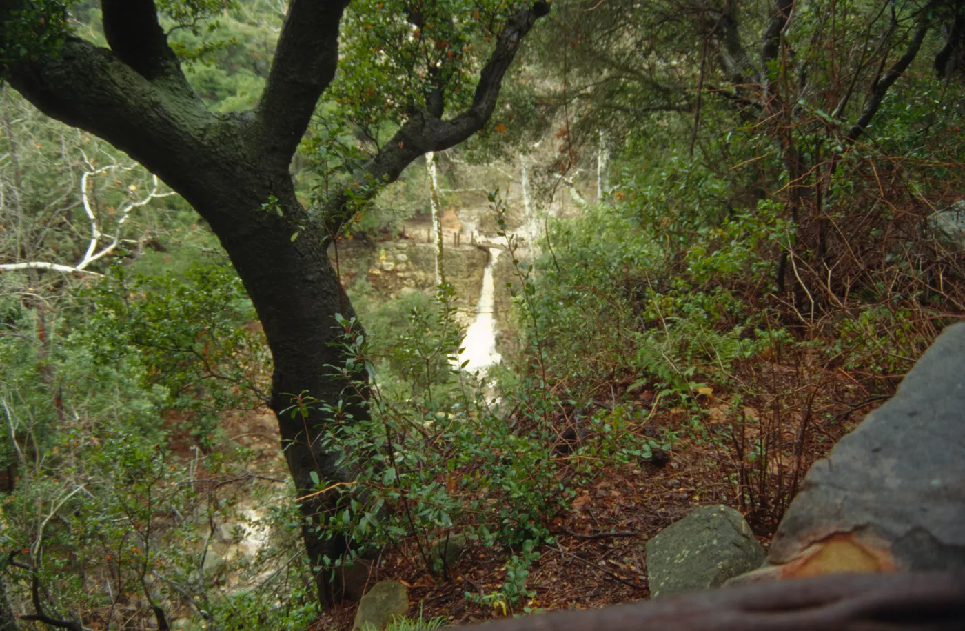 Mission Creek Flood Stage, January 1995