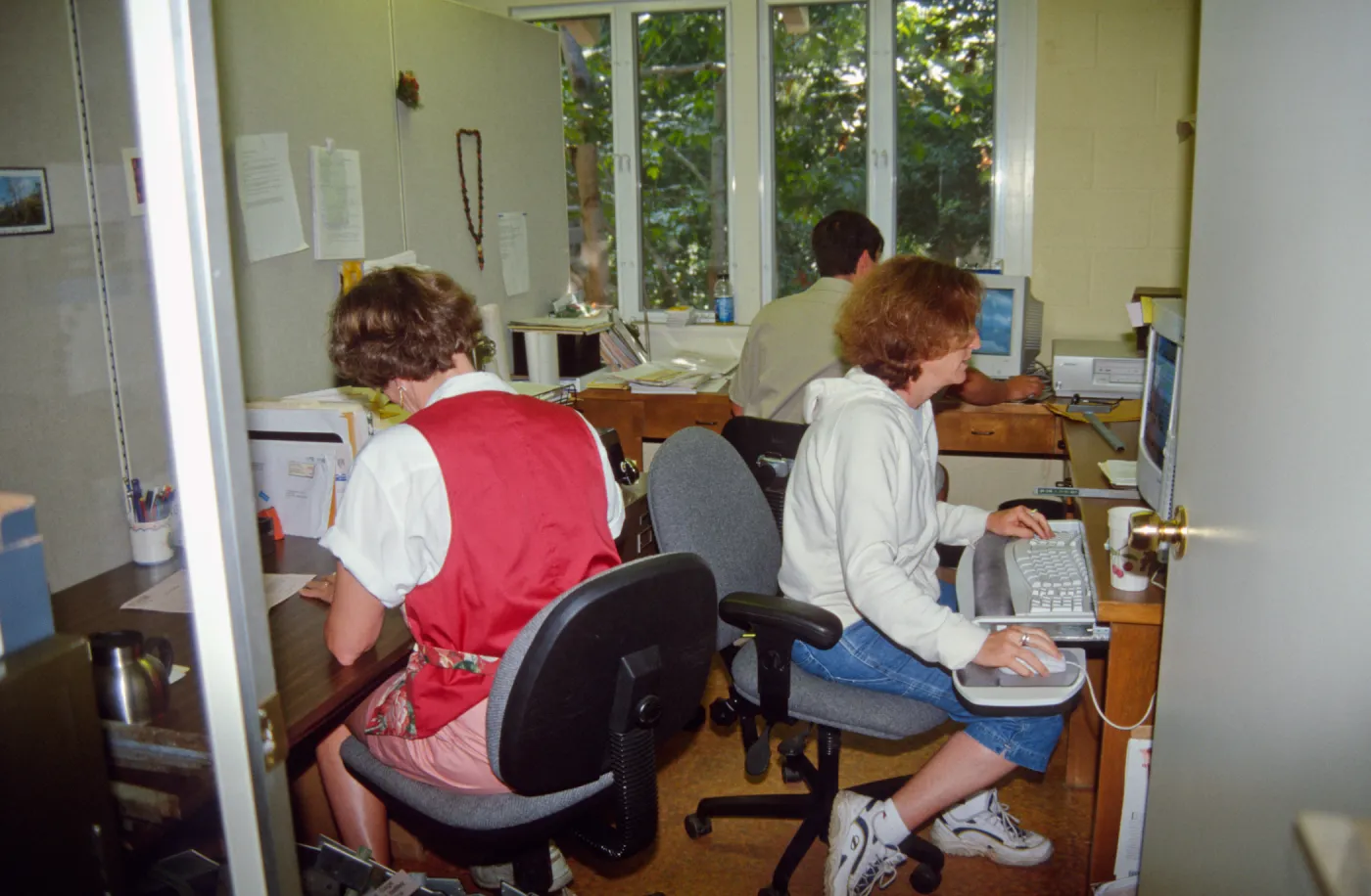 SBBG at work in the Herbarium