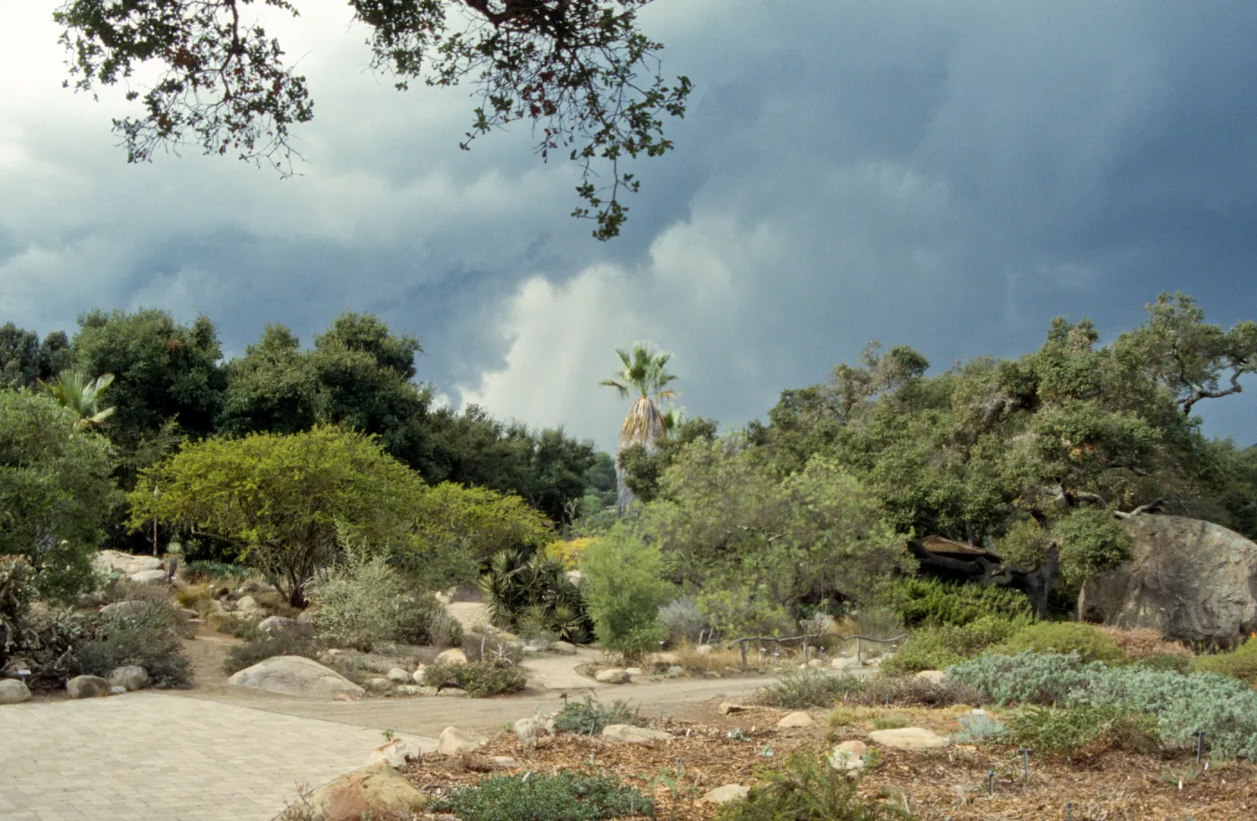 Lower Meadow and Desert section