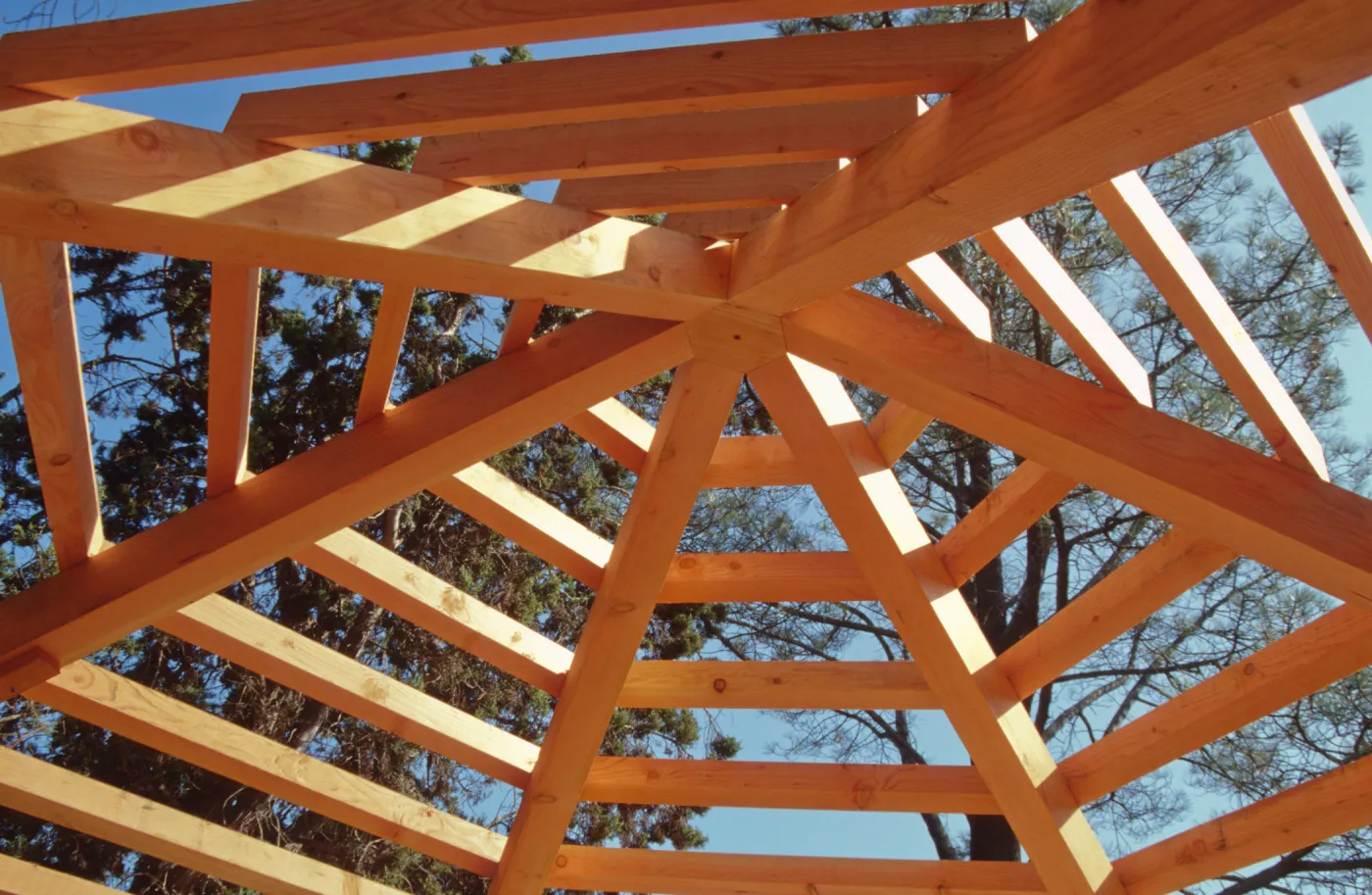 framework of new roof, Entrance Kiosk