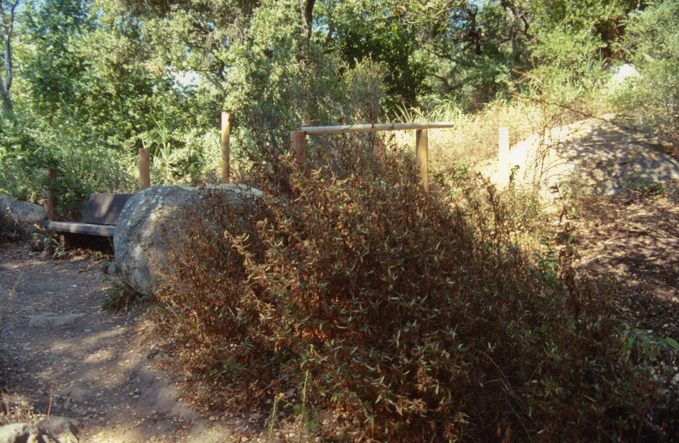 Site for new picnic area