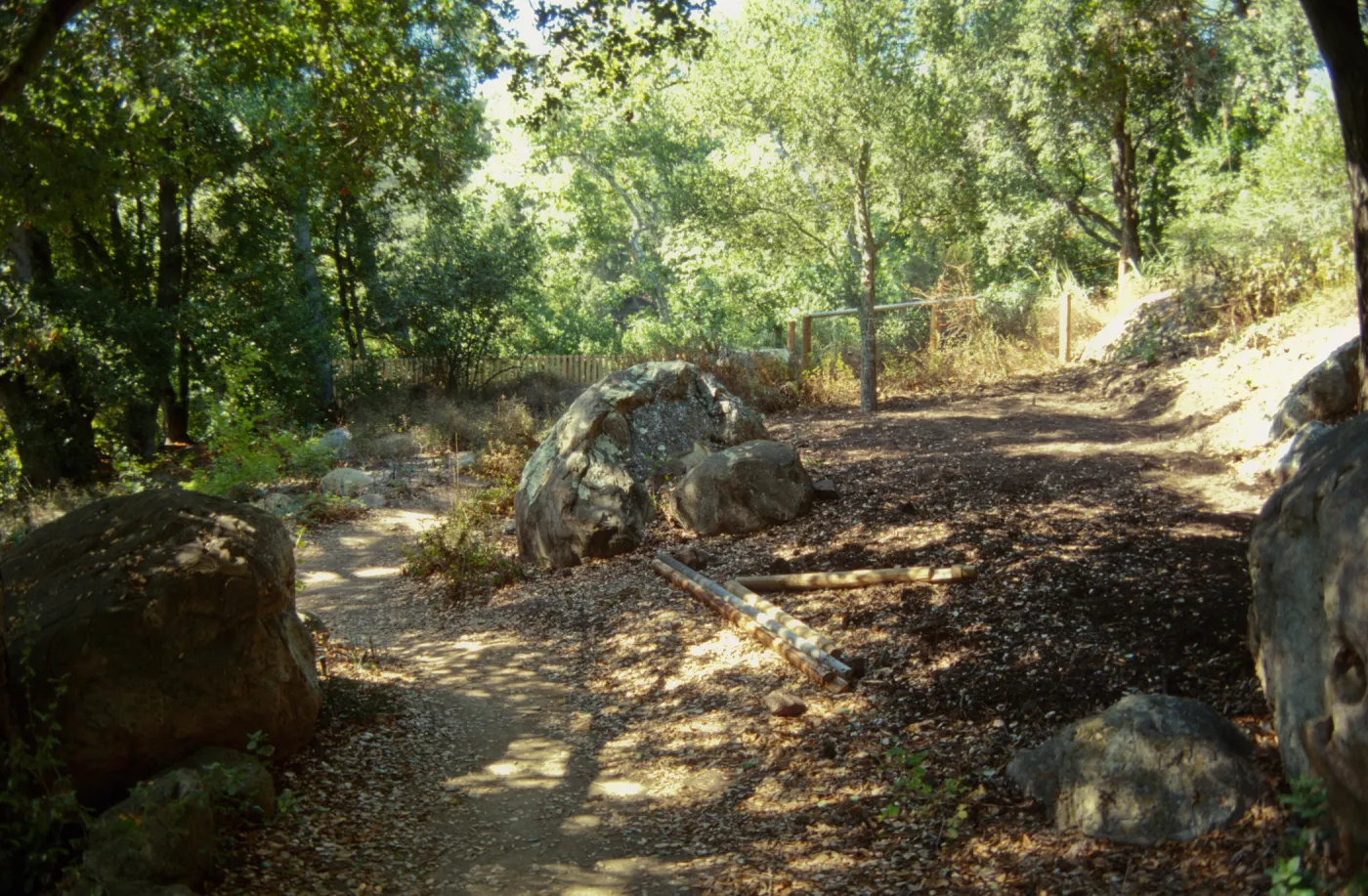 Site for new picnic area