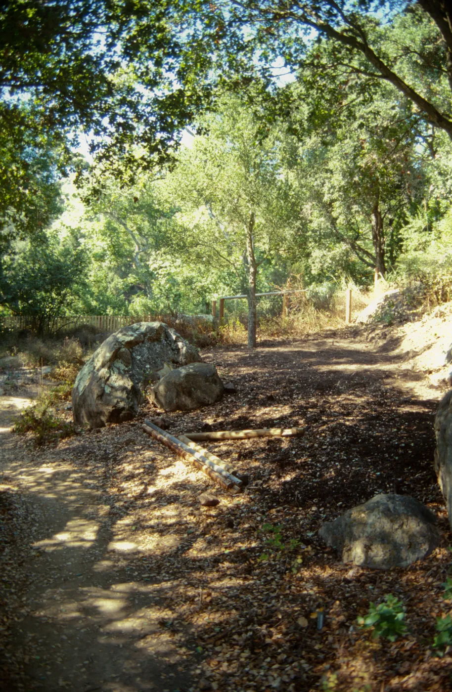 Site for new picnic area