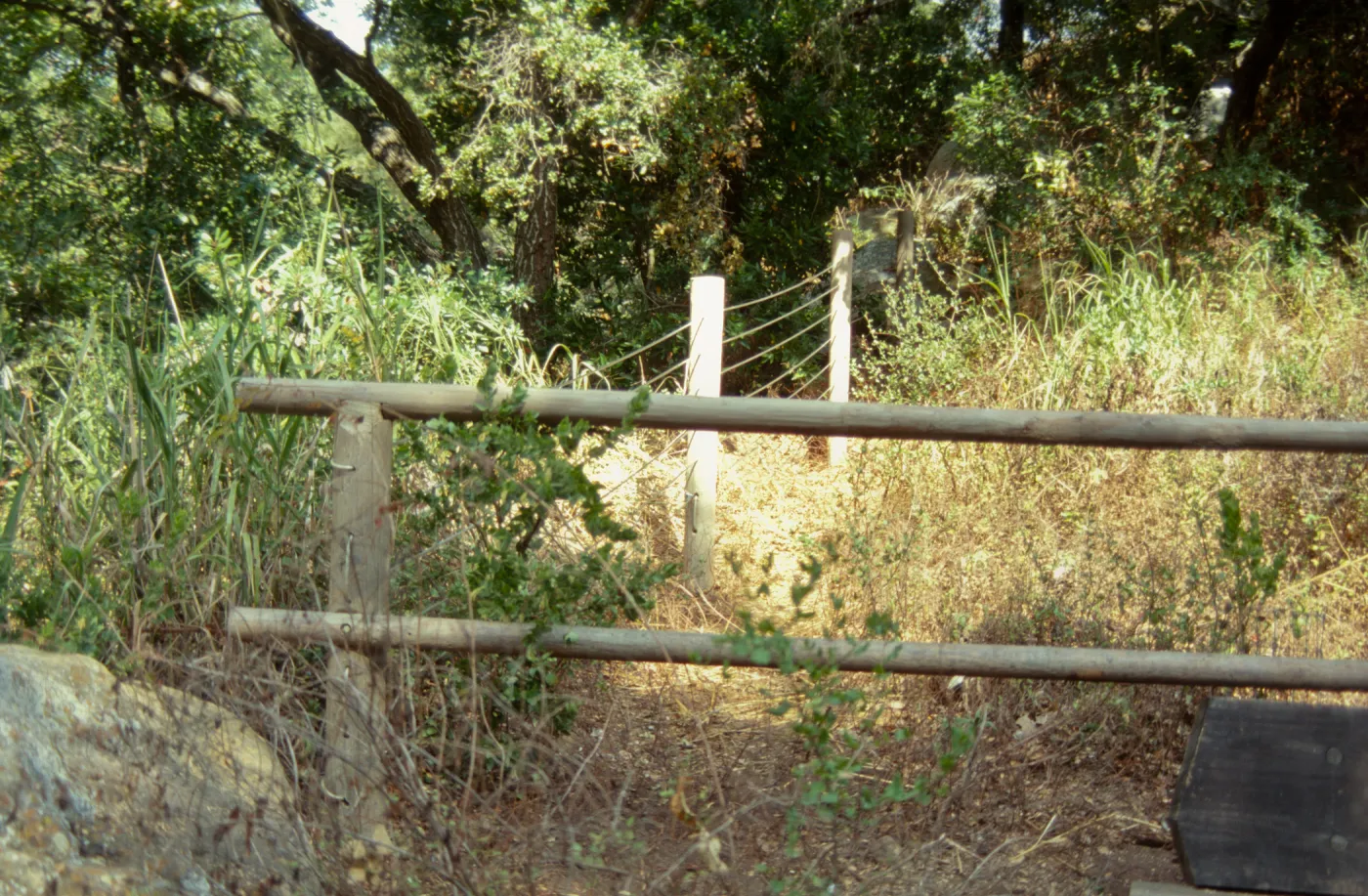Site for new picnic area