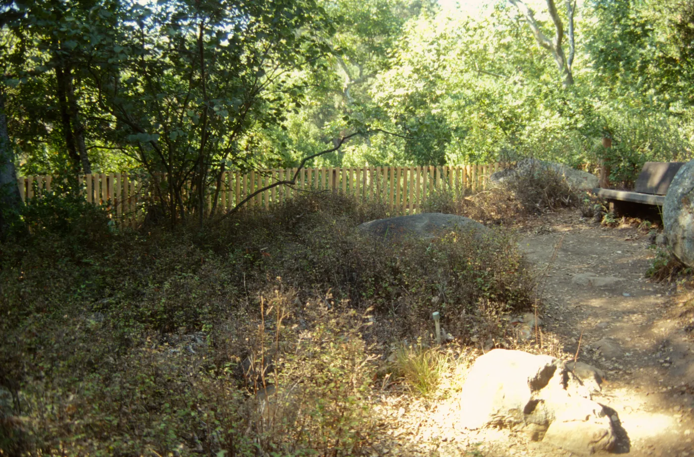 Site for new picnic area, fence at dam overlook