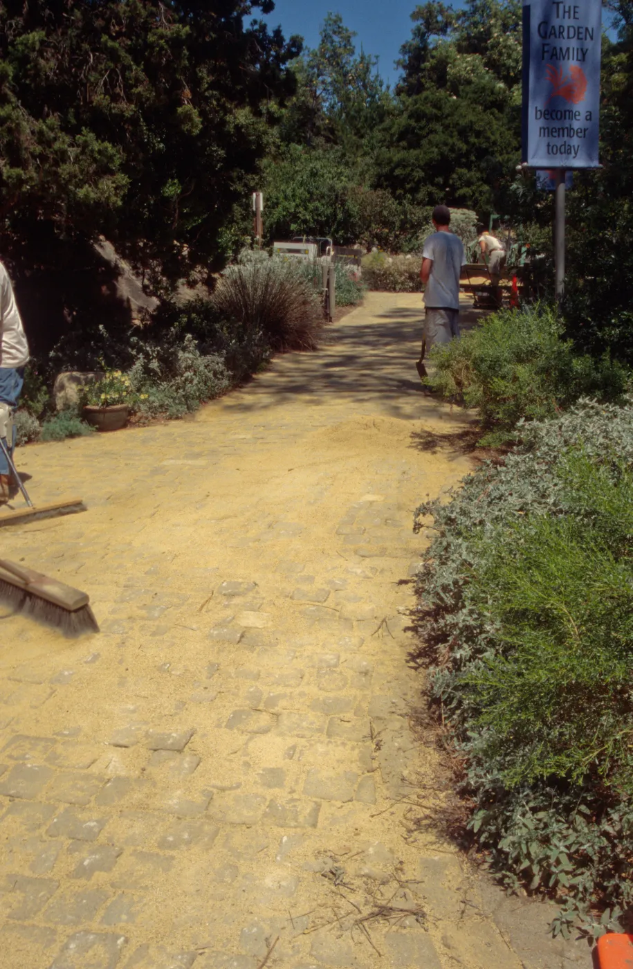 installation of new pavered path at Garden Entrance