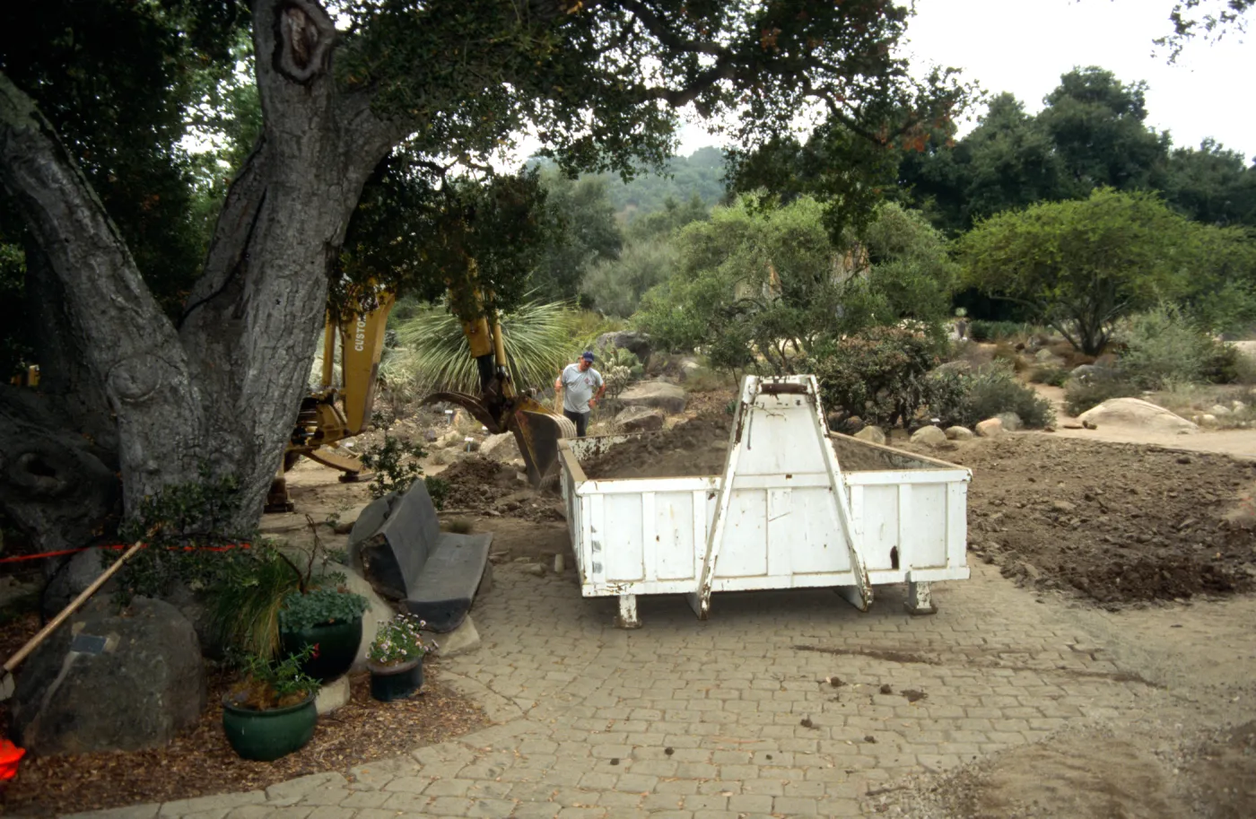 New pavered path at Garden Entrance, entrance oak