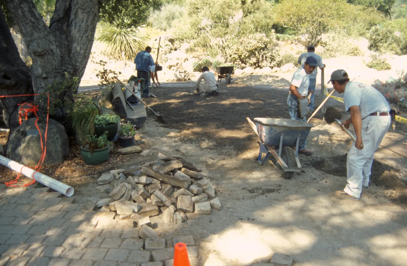 New pavered path at Garden Entrance, entrance oak