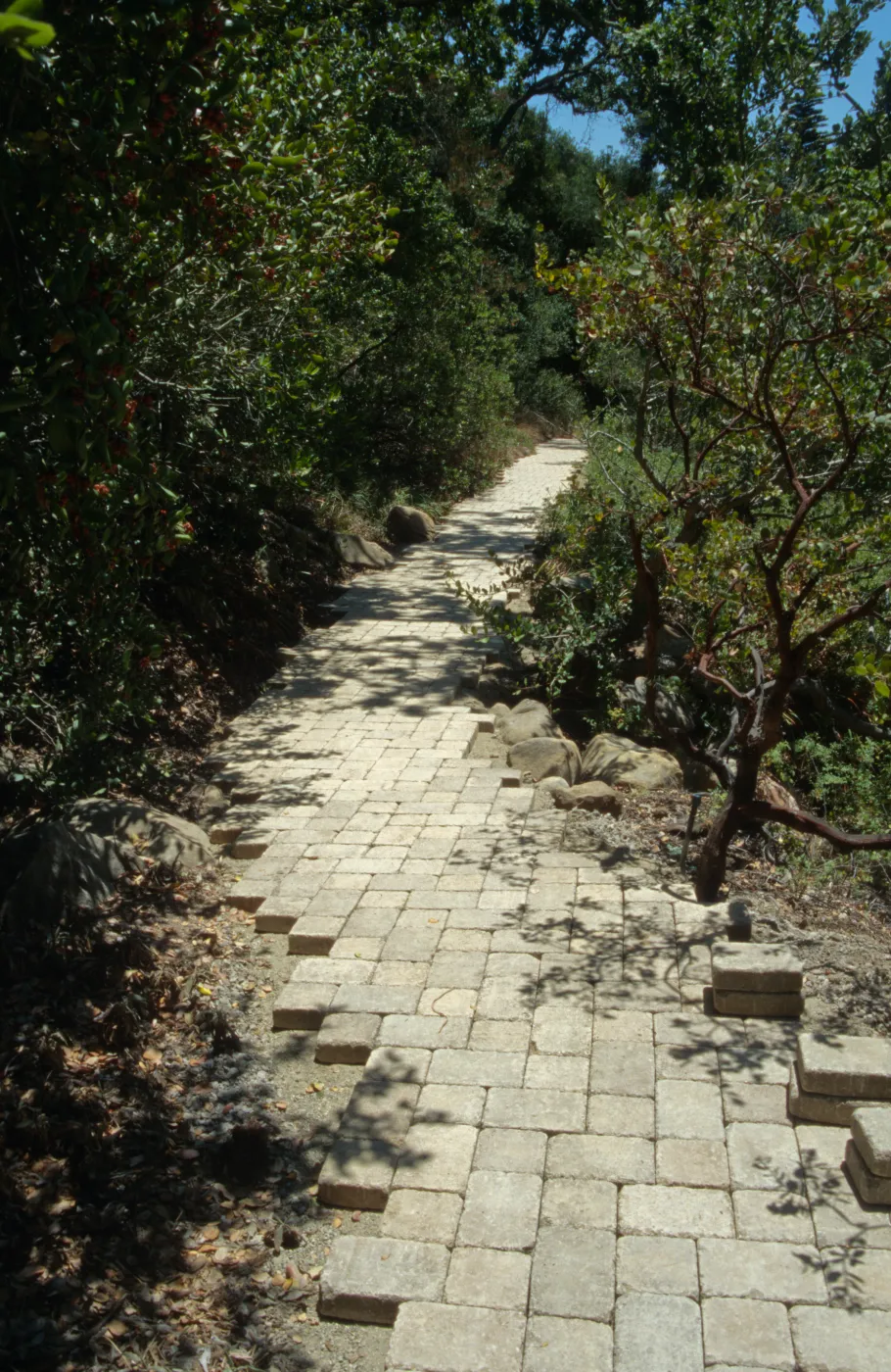 Paving the Arroyo Trail