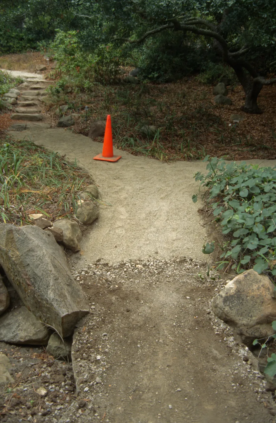 Paving the Arroyo Trail