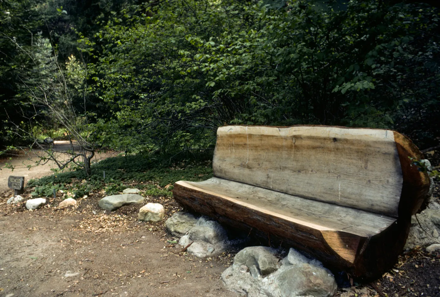 wood bench on east side of Mission Dam, Redwood Section
