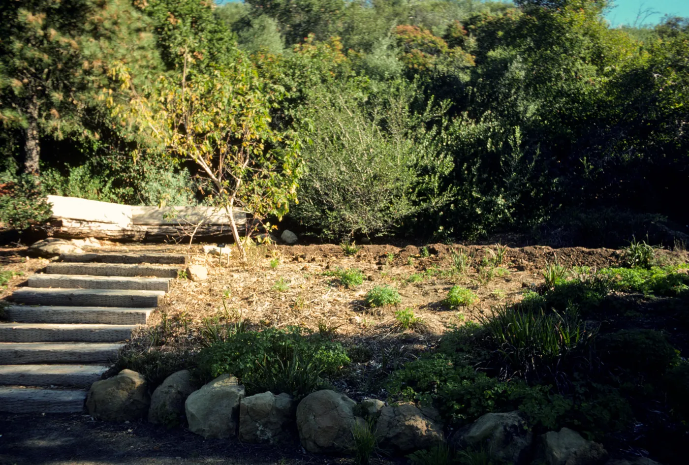 Meadow View display garden, Conn Garden, wood bench, staircase