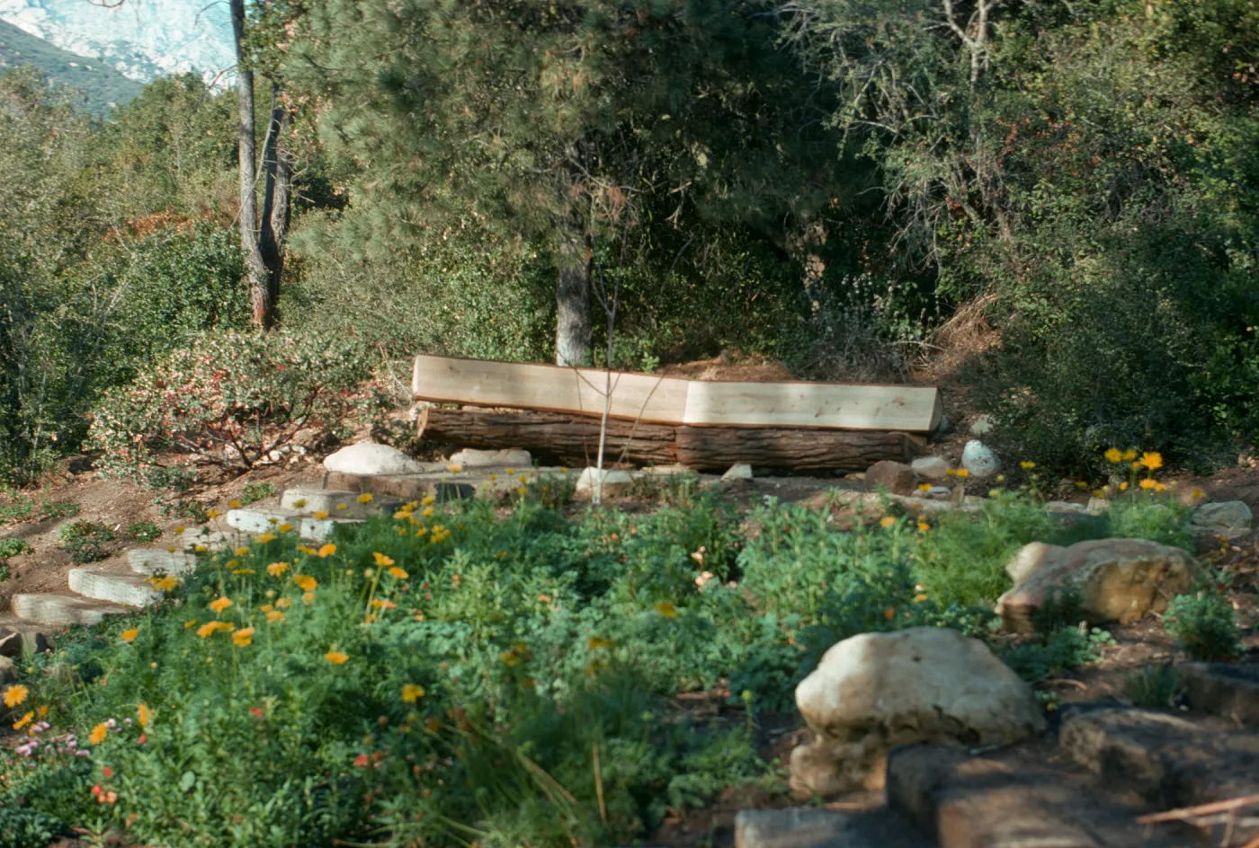 Meadow View display garden, Conn Garden, wood bench, staircase