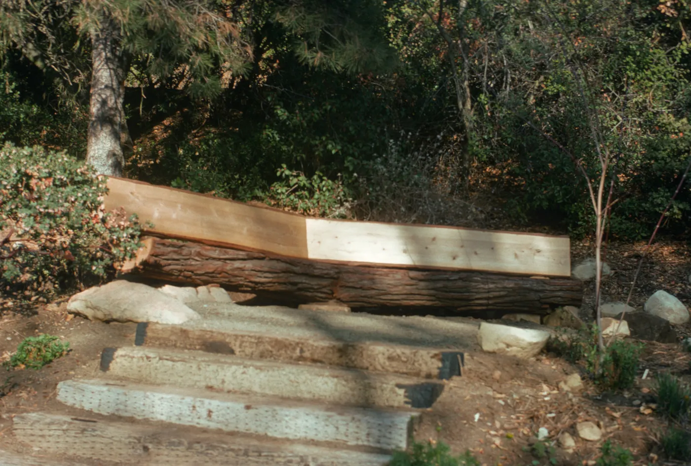 Meadow View display garden, Conn Garden, wood bench, staircase
