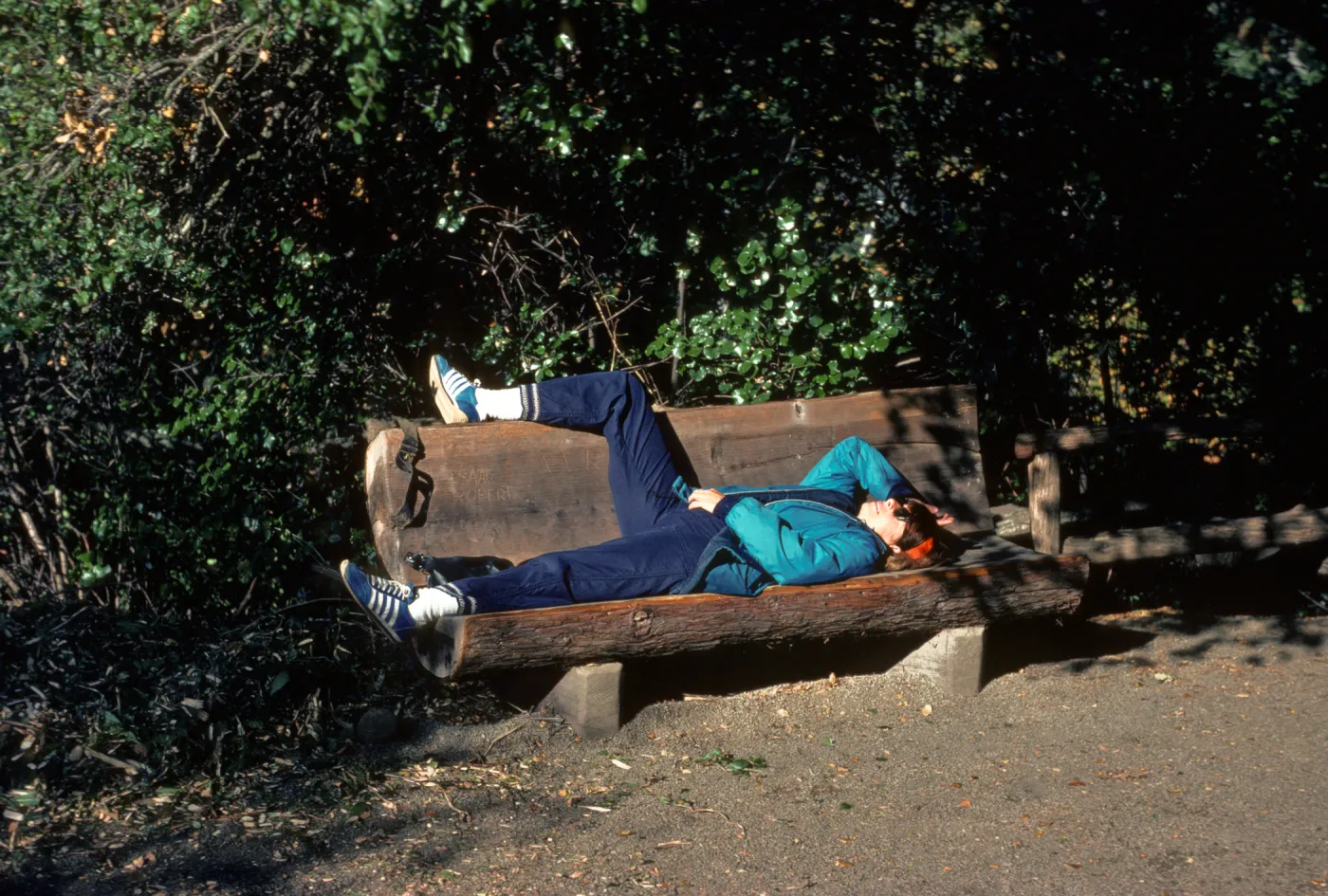 visitor lying on redwood bench