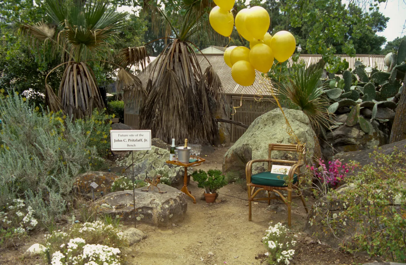 Dedication event, new stone bench in Desert Section, Pritzlaff Bench, 2000