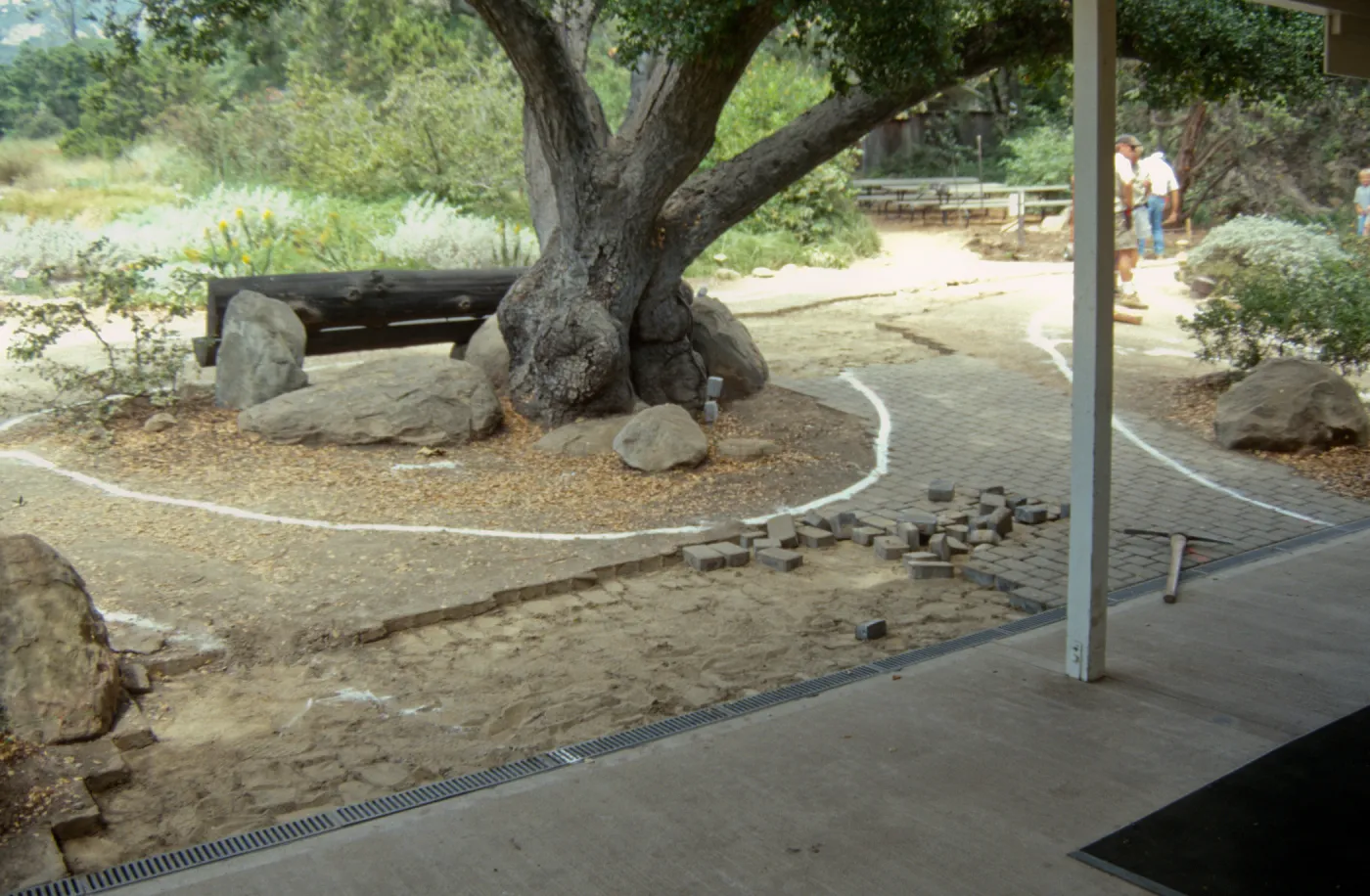 Reconstruction of entrance paths