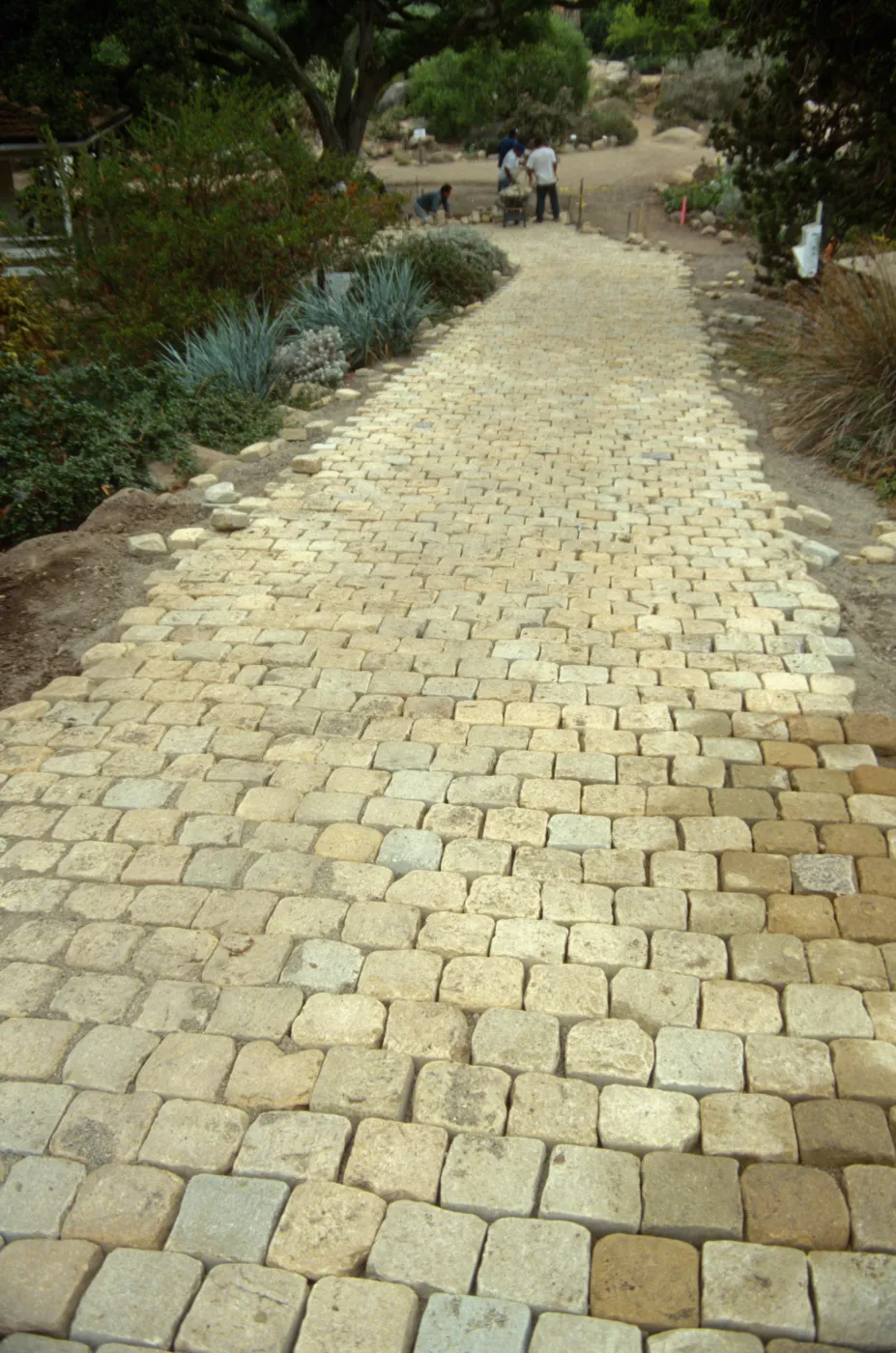 Path Paving