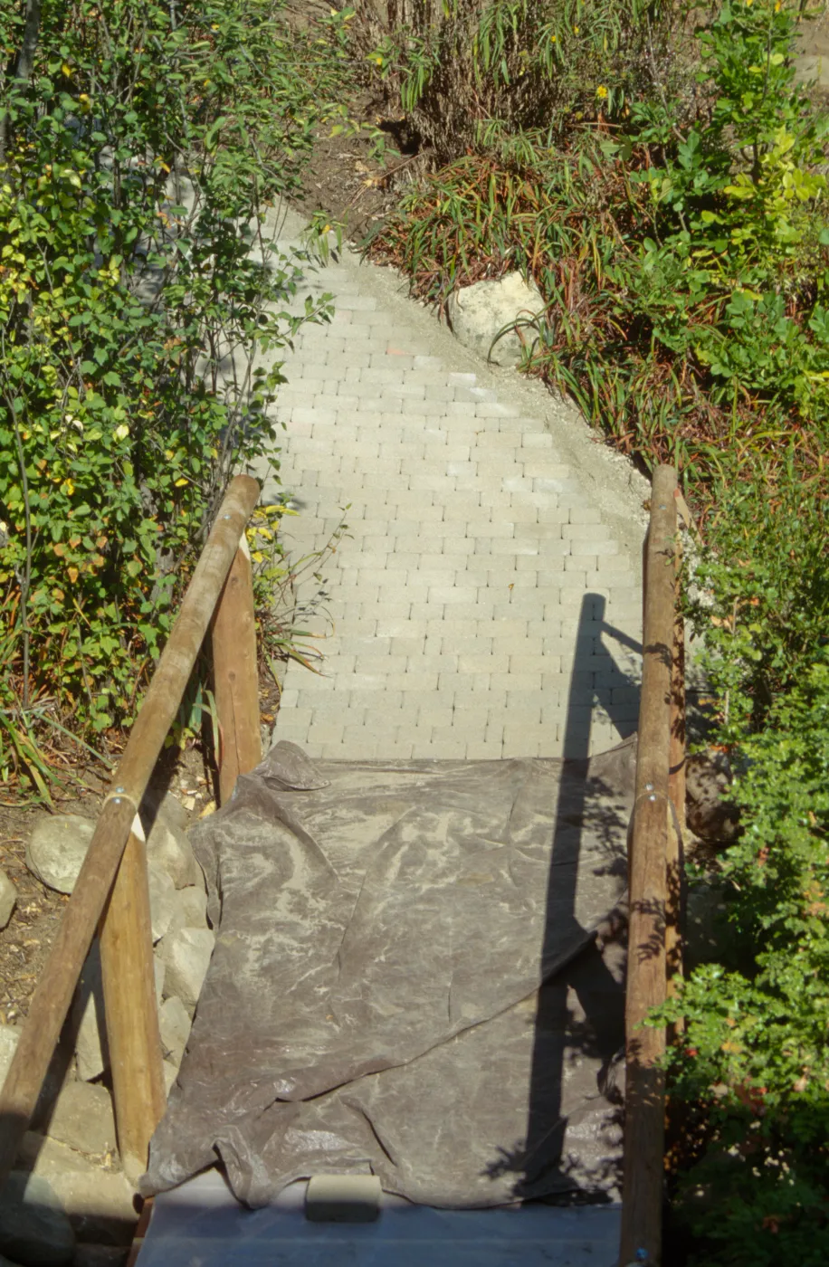 Path Paving