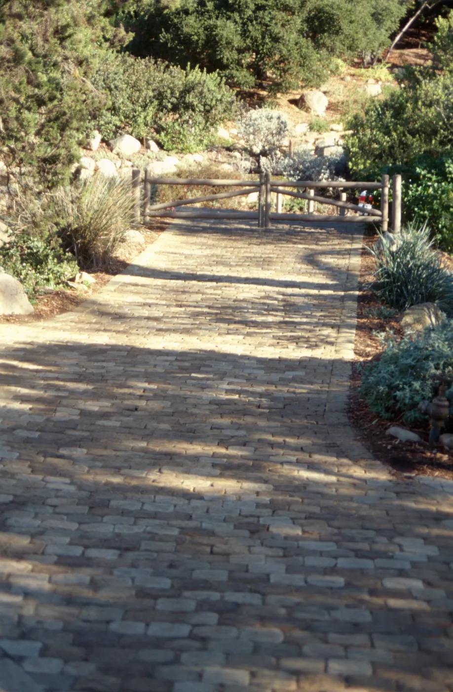 Path Paving