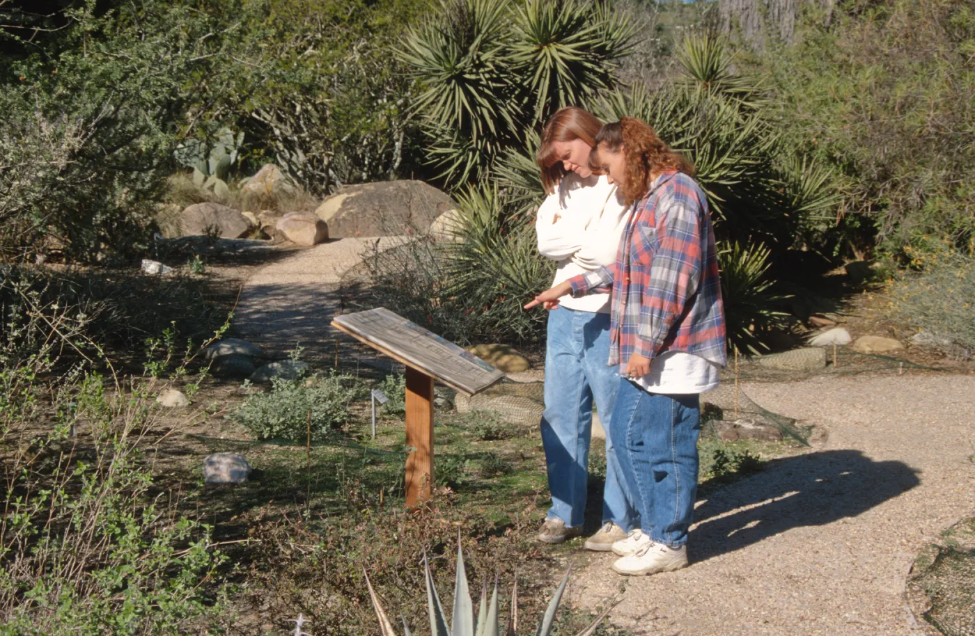 Visitors: Desert Section