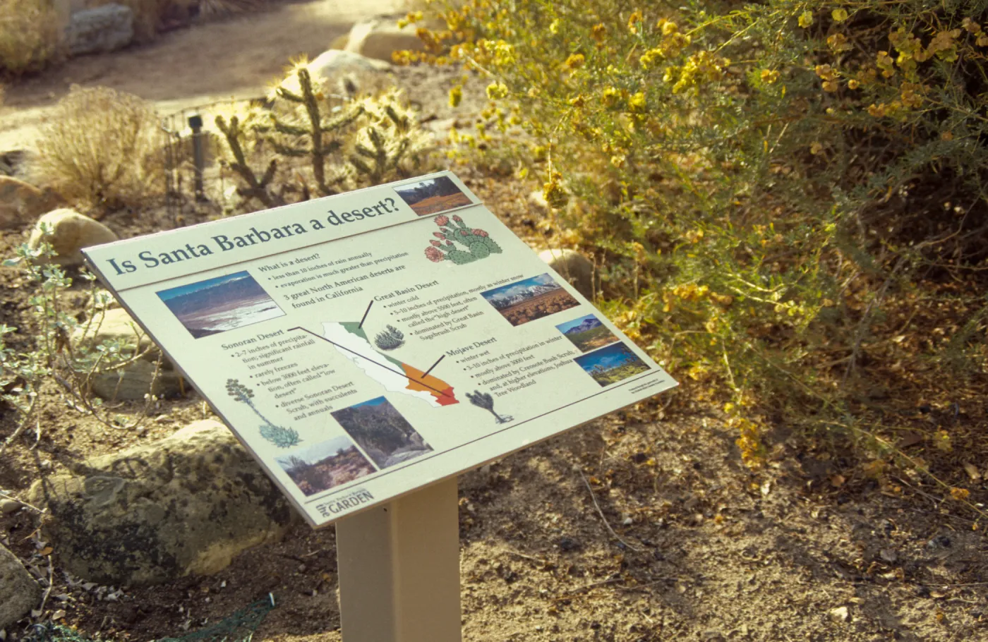 Desert Signage